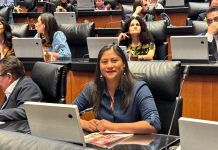 Avanza en Michoacán reforma constitucional contra el feminicidio impulsada desde el Senado: Celeste Ascencio